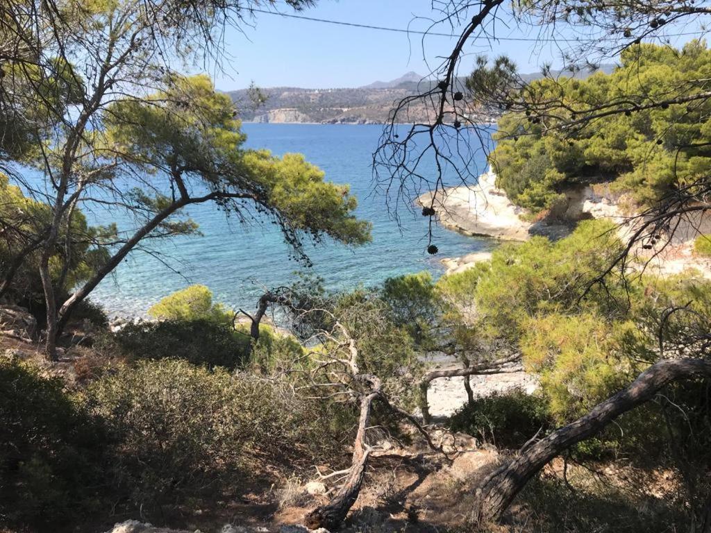 Vana Kavos Lägenhet Agia Marina  Exteriör bild