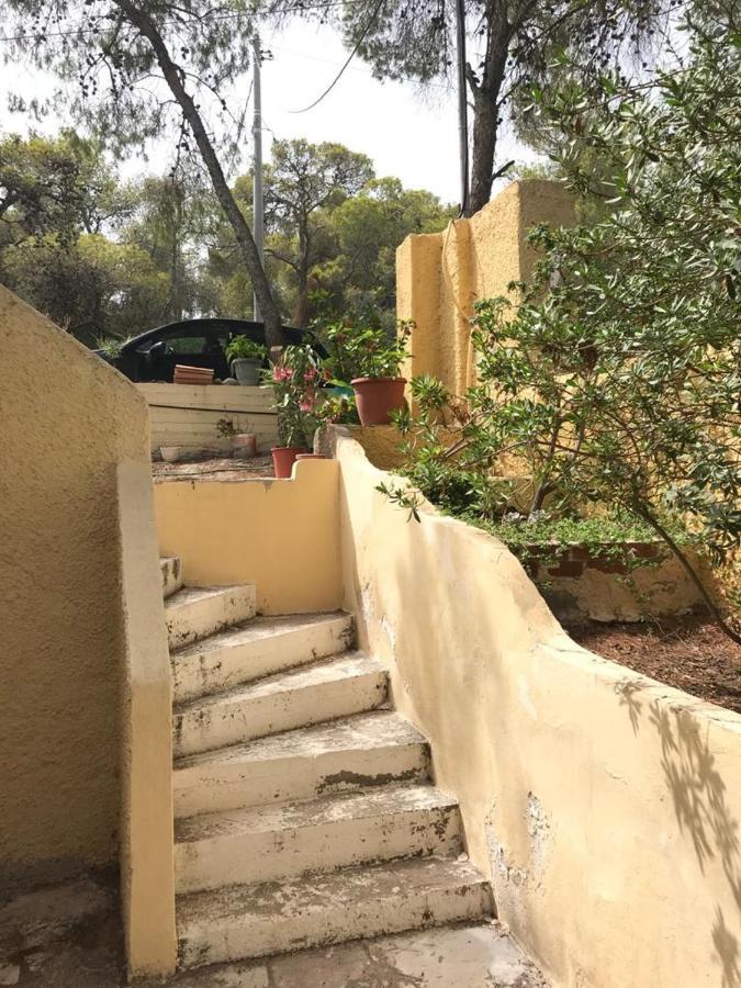 Vana Kavos Lägenhet Agia Marina  Exteriör bild