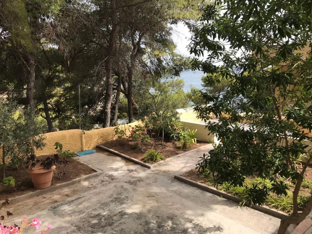 Vana Kavos Lägenhet Agia Marina  Exteriör bild